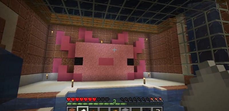 Minecraft Redditor showcases their super secret axolotl room