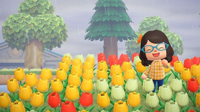 Flower fields in Animal Crossing: New Horizons (Image via SuperParent)