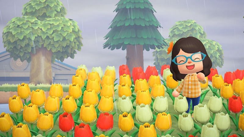 Animal Crossing: New Horizons players need to quash these bothersome habits