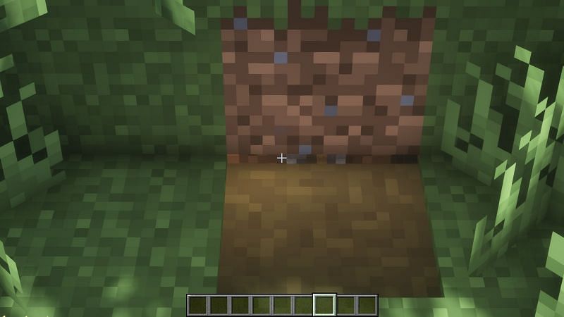 Barely visible lever (Image via Minecraft)