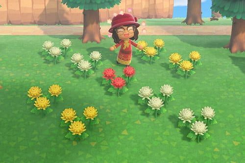 Mums in Animal Crossing. Image via Digital Trends