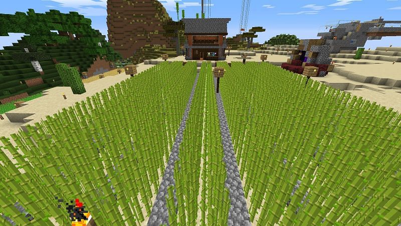 A sugarcane farm infront of a house (Image via Minecraft)