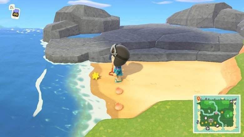 Players with a star fragment the next morning in Animal Crossing: New Horizons (Image via Heavy.com)