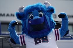 5 most popular mascot names in the NFL