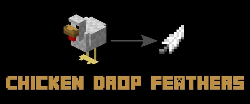 What Can Players Do With Feathers In Minecraft