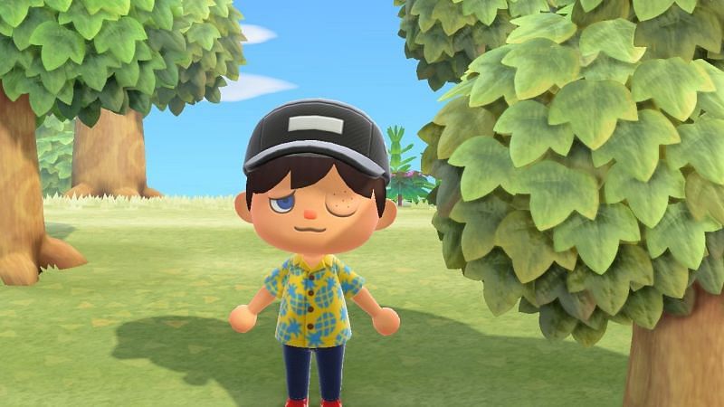 Wasp stings in Animal Crossing: New Horizons (Image via Shacknews)