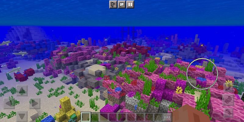 Coral reef (Image via Minecraft)