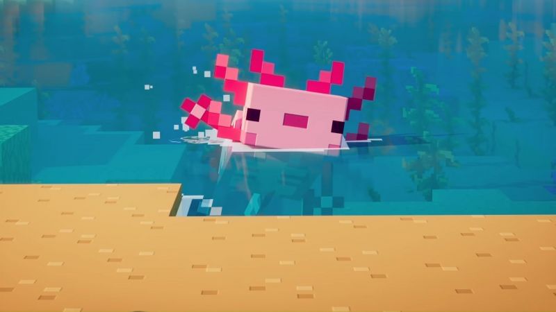 The Axolotl: Beating the Ender Dragon in Minecraft (Axolotl Adventures in  Minecraft Series)