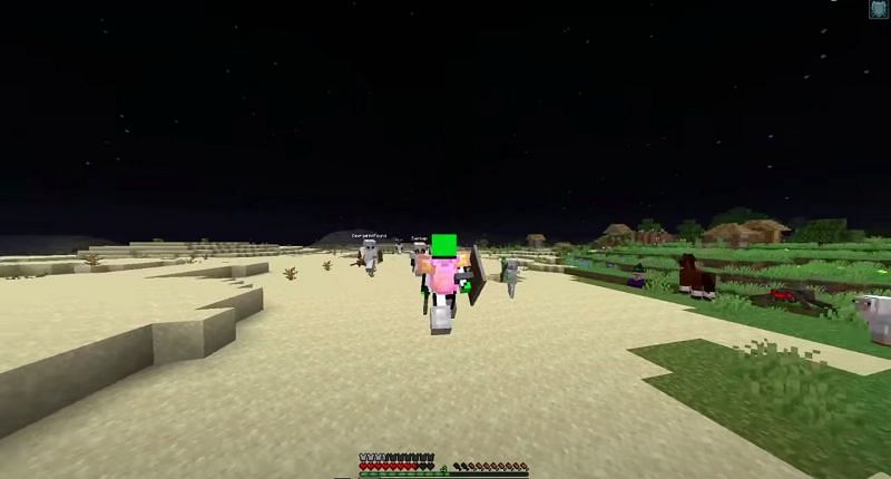 Dream during one of his various Minecraft plays (Image via YouTube)
