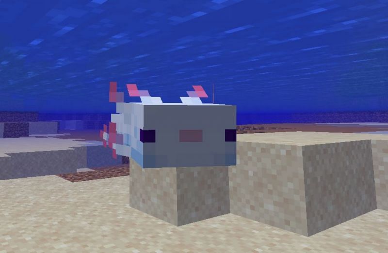 An axolotl (Image via Minecraft)