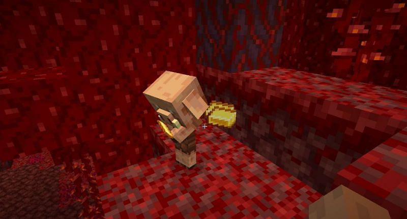 A player about to lose their gold ingots, as baby Piglins will steal them (Image via techlife)