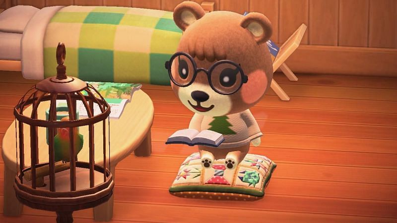 Maple reading in Animal Crossing: New Horizons (Image via Reddit)