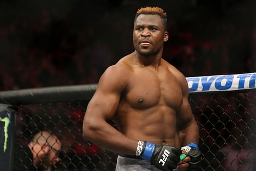 Francis Ngannou has given his take on Logan Paul's payday against Floyd Mayweather