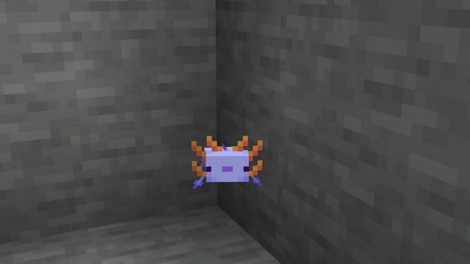 What Is The Rarest Axolotl In Minecraft