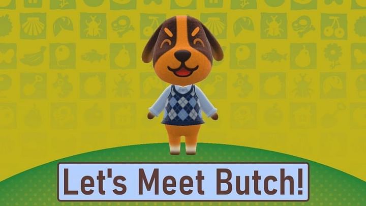 Who is Butch, and what is his role in Animal Crossing: New Horizons?