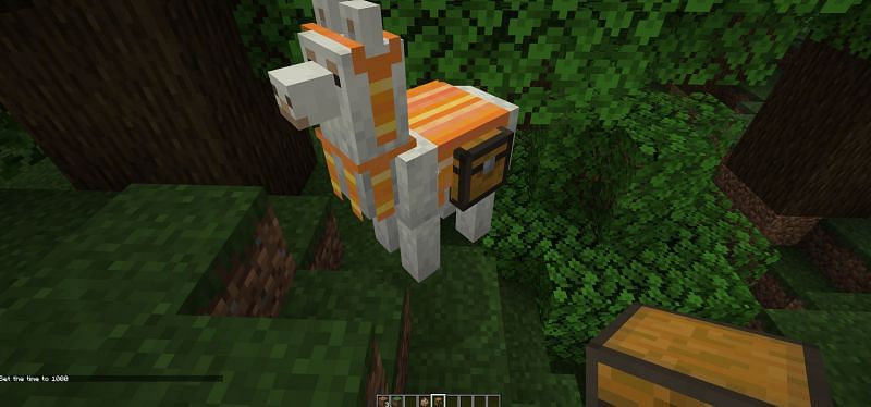 Chests can be applied to tamed Minecraft llamas to increase their storage capacity