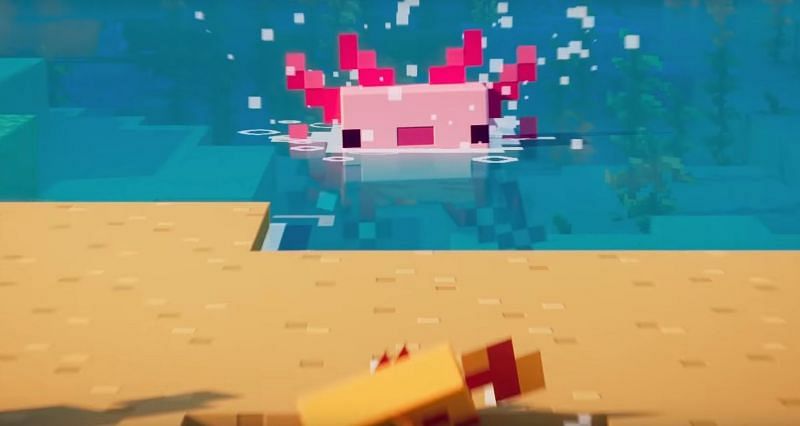 An axolotl splashing around in some water (Image via Mojang)