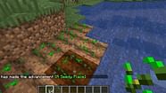 How To Make Plants Grow Faster In Minecraft Command Hamel Thattely