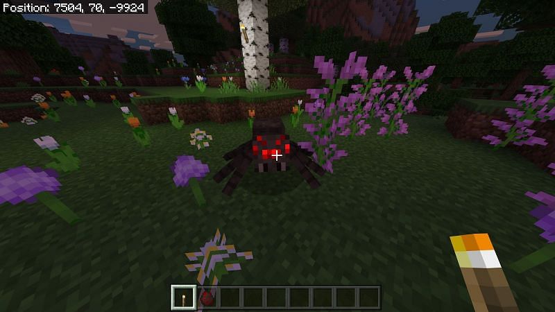 Spider in Minecraft (Image via sportskeeda)