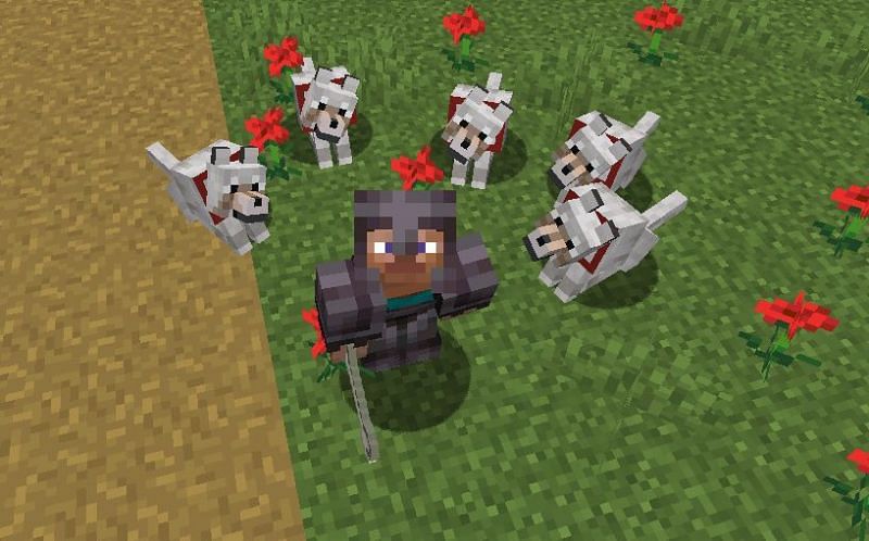 Steve sitting with his pet wolves (Image via Minecraft)