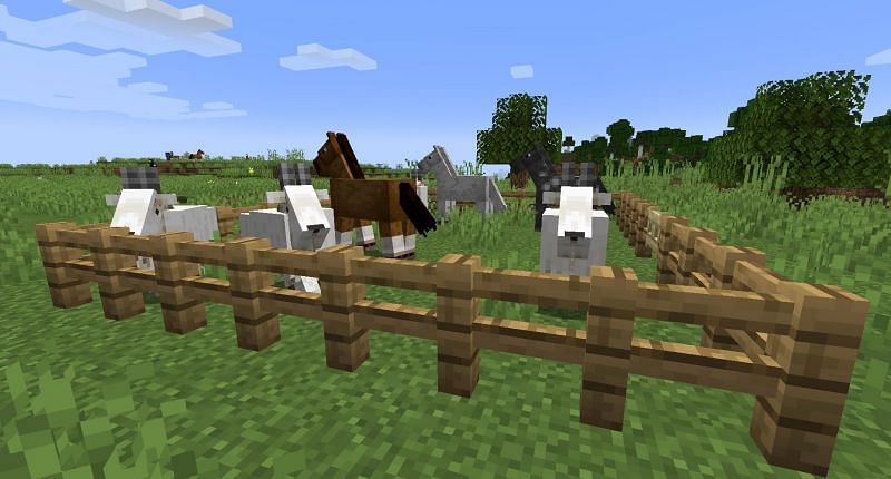 Goats were recently added into Minecraft in update 1.17