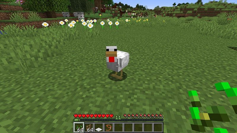 Players should then find chickens to place on the egg farm (Image via Minecraft)