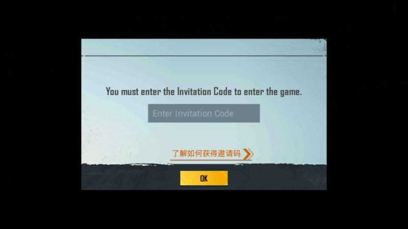 Players can enter the activation code in the text field on the screen