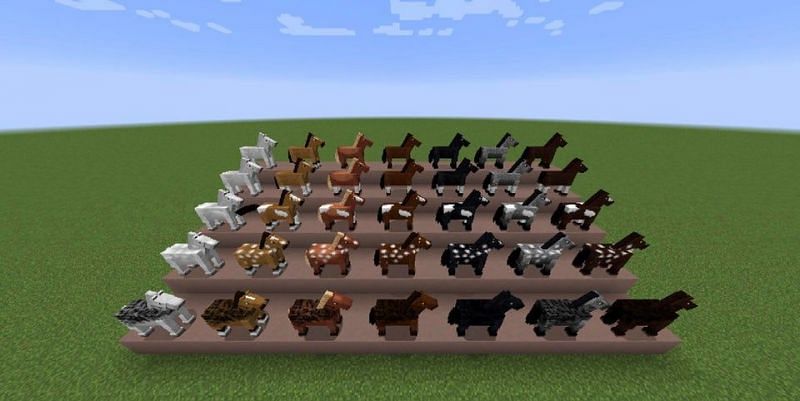 Every single coloration of the Minecraft horse (Image via u/XylemSmeltz9 on Reddit)