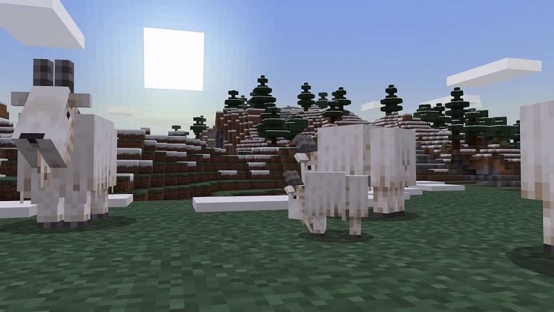 Minecraft goats (Image via PCGamesN)