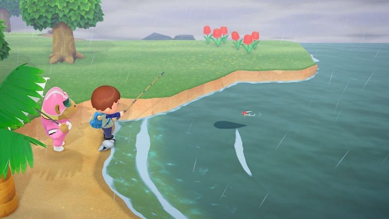 Player trying to catch Coelacanth in Animal Crossing: New Horizons (Image via Hey Poor Player)