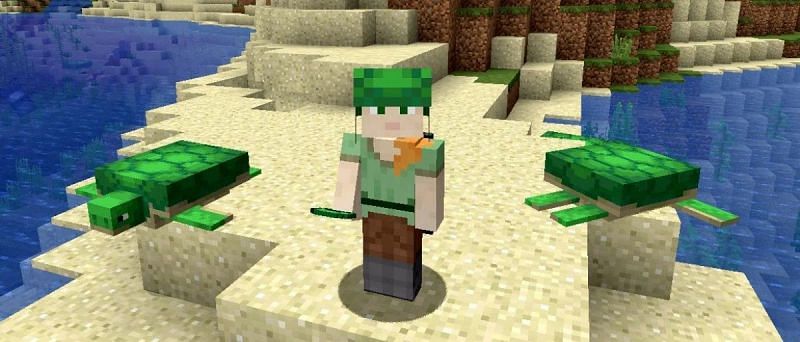 Alex with two turtles (Image via Mojang)