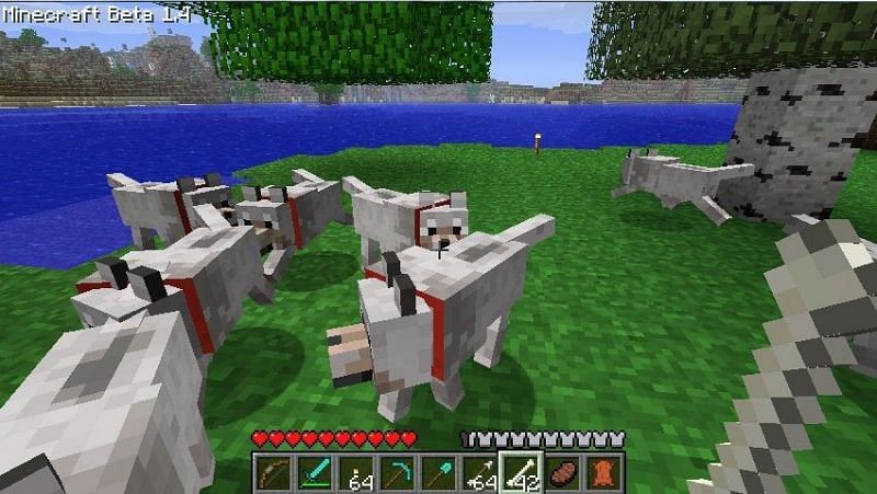 A large wolf pack (Image via u/dan525 on Reddit)