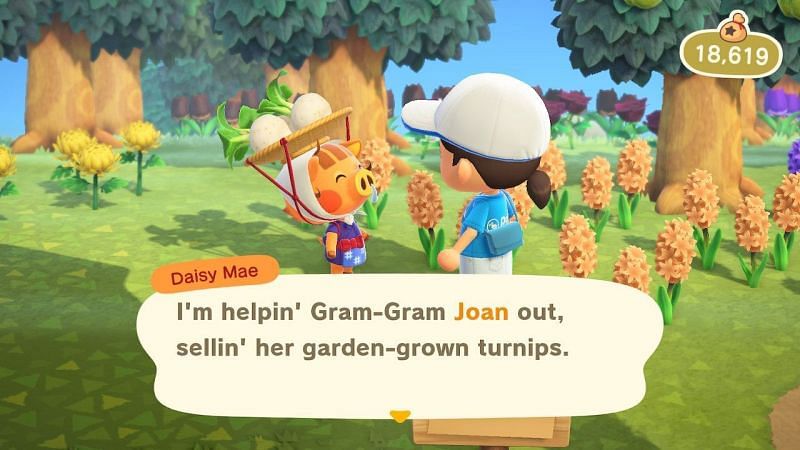 Daisy Mae interacting with a player in Animal Crossing (Image via Pinterest)