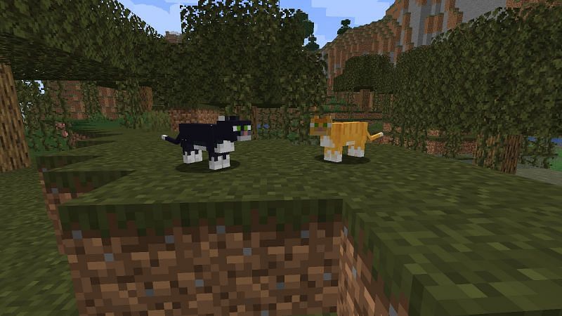 Two cats (Image via Minecraft)