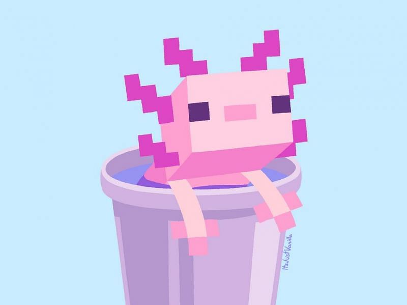 Quite possibly the cutest image of an axolotl in a bucket (Image via ItsJustVanilla on Reddit)