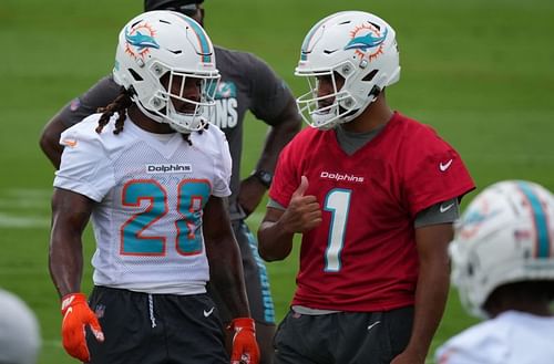 Miami Dolphins Mandatory Minicamp