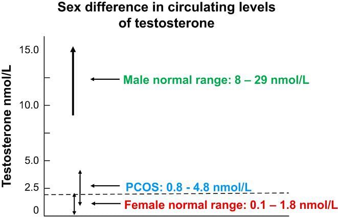 Testestrones level chart