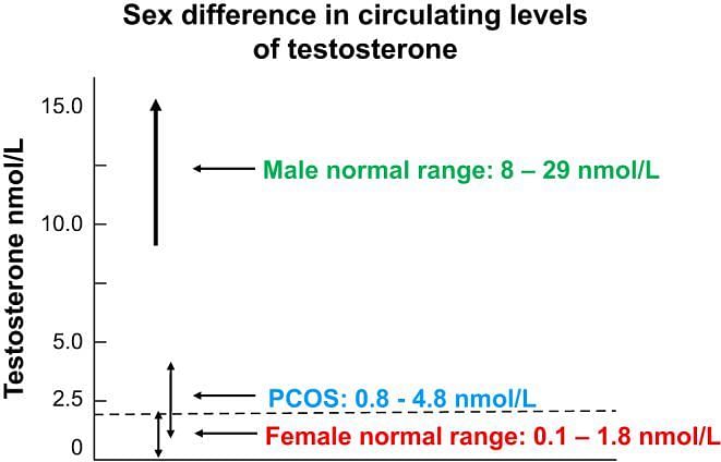 Explained: What is Hyperandrogenism, and why is it a key issue in sports?