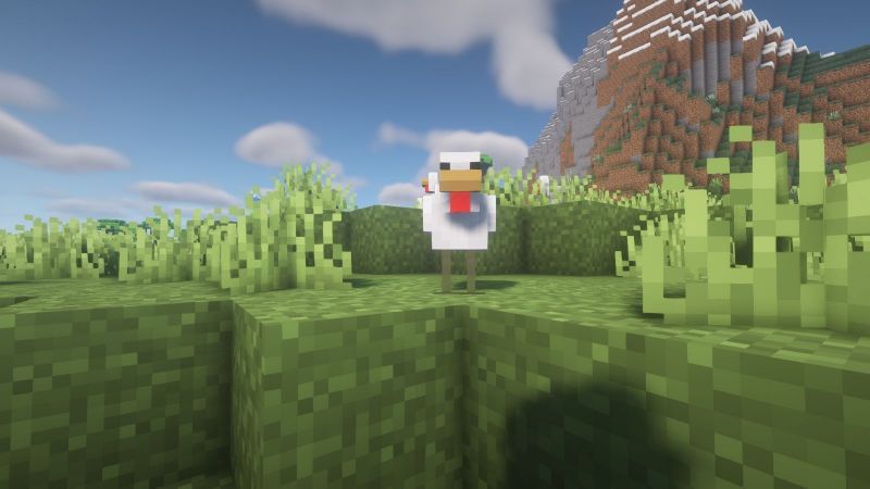 Chicken staring at the player (Image via Minecraft)