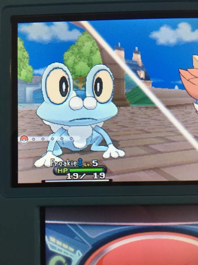 Froakie Pokémon How to Catch, Moves, Pokedex & More