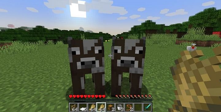 How to build a cow farm in Minecraft easily