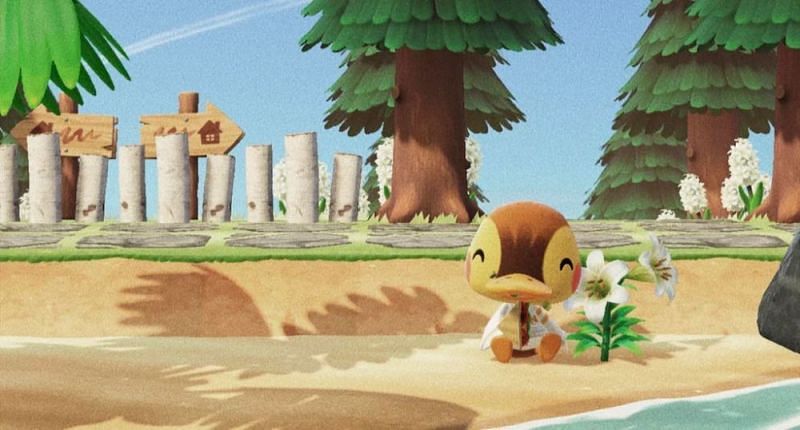 Molly relaxing on an Animal Crossing: New Horizons island (Image via Pinterest)
