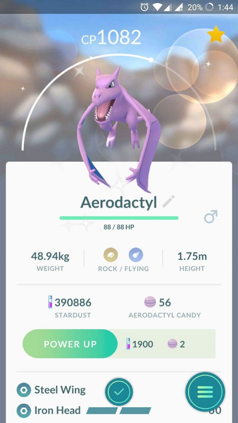 Aerodactyl Pokémon How to Catch, Moves, Pokedex & More