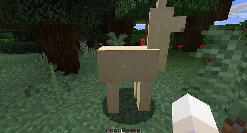 Llamas in Minecraft can be mounted by interacting with an empty hand