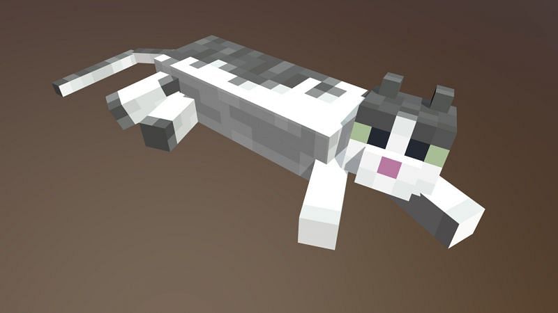 A cool looking cat just chilling (Image via sketchfab)