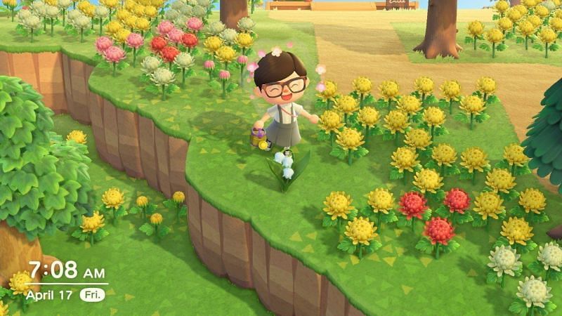 Flowers in Animal Crossing. Image via iMore