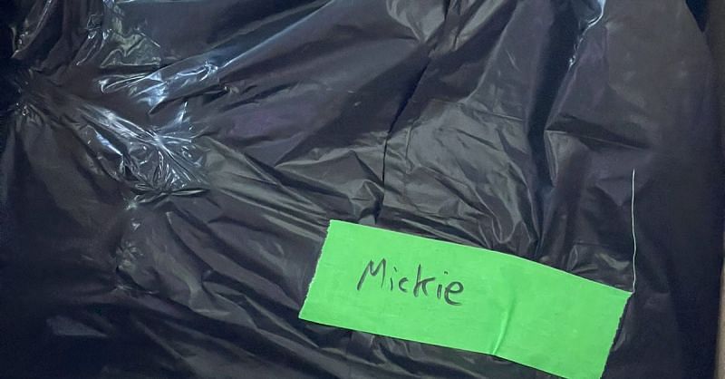 The trash bag in which Mickie James received her belongings