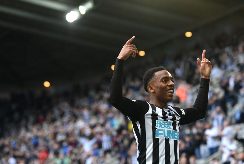 Joe Willock has been an integral part of Newcastle United since joining on loan