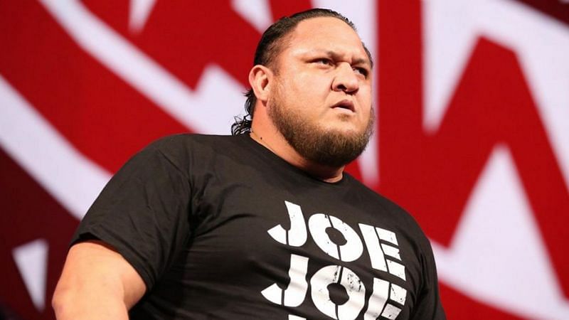 Many professional wrestling fans have touted The Samoan Submission Machine to eventually sign with All Elite Wrestling