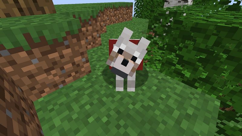A tamed wolf (Image via Minecraft)